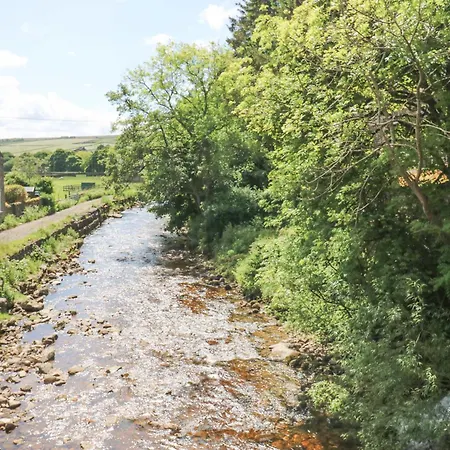 The Curlews Dom wakacyjny *